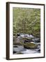Tremont Area, Great Smoky Mountains National Park, Tennessee-Richard and Susan Day-Framed Photographic Print