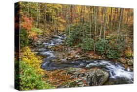 Tremont Stream-Galloimages Online-Stretched Canvas