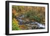 Tremont Stream-Galloimages Online-Framed Photographic Print