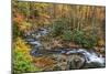 Tremont Stream-Galloimages Online-Mounted Photographic Print