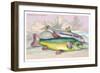 Trench and Gudgeon-Robert Hamilton-Framed Art Print