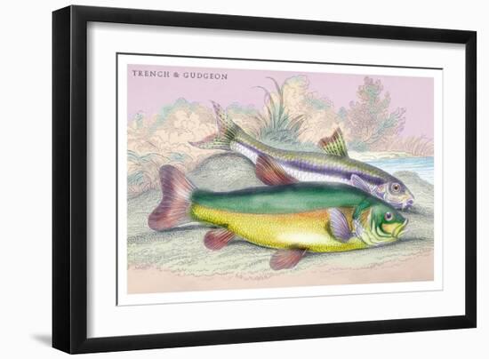 Trench and Gudgeon-Robert Hamilton-Framed Art Print