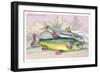 Trench and Gudgeon-Robert Hamilton-Framed Art Print