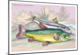 Trench and Gudgeon-Robert Hamilton-Mounted Art Print