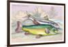 Trench and Gudgeon-Robert Hamilton-Framed Art Print