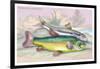 Trench and Gudgeon-Robert Hamilton-Framed Art Print