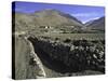 Trench in the Tibetan Himayalan Range-Michael Brown-Stretched Canvas