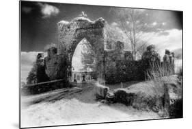 Trench Mausoleum, Woodlawn, County Galway, Ireland-Simon Marsden-Mounted Giclee Print