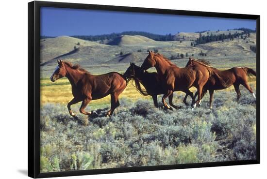 Poster, , large