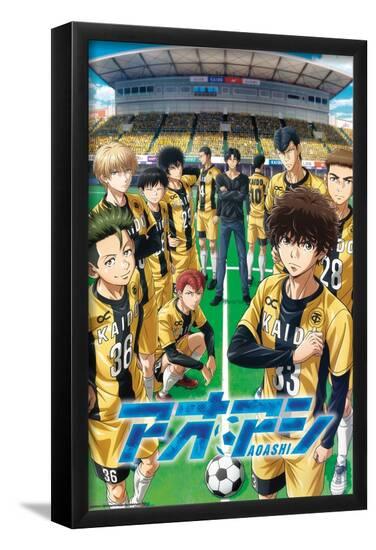 Poster, , large