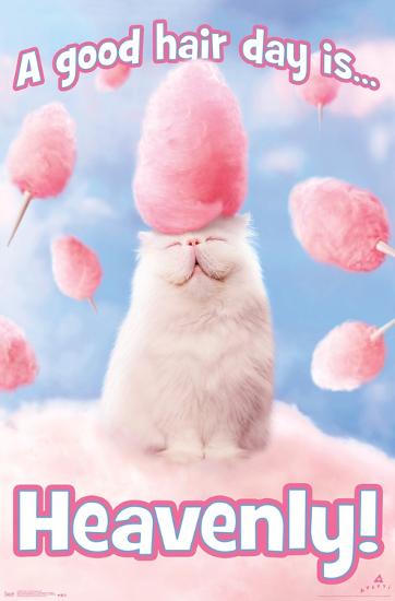 Poster, , large