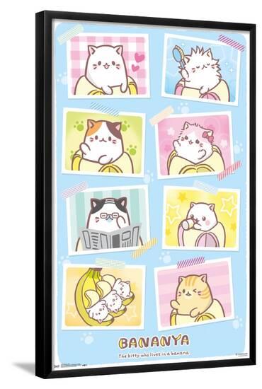 Poster, , large