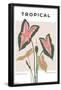 Essential Black