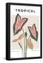 Essential Black