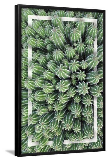 Poster, , large