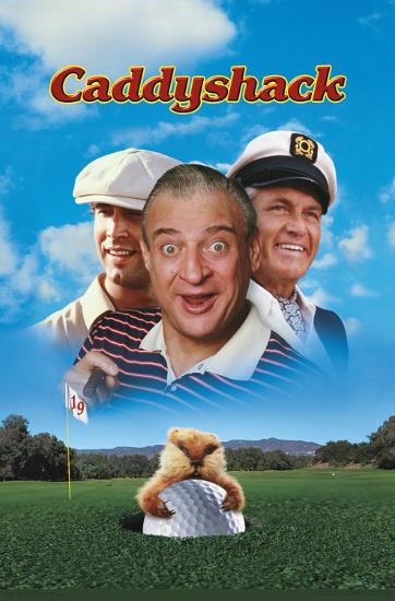 Poster, , large