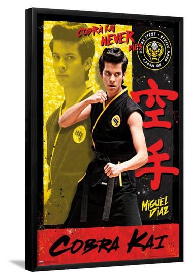 Poster, , large