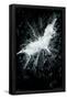 Essential Black