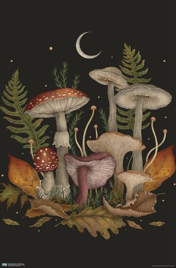 Poster, , large
