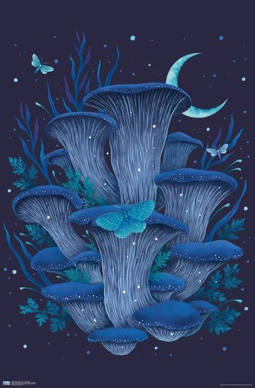 Poster, , large