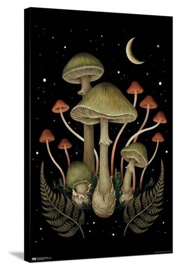 Stretched Canvas Print, , large