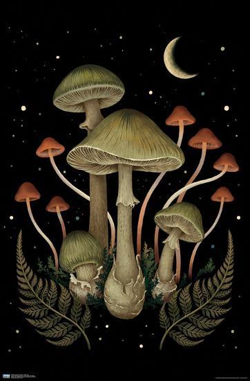 Poster, , large