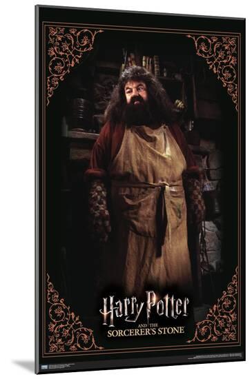 Poster, , large