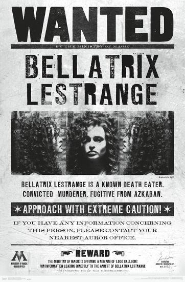 Poster, , large