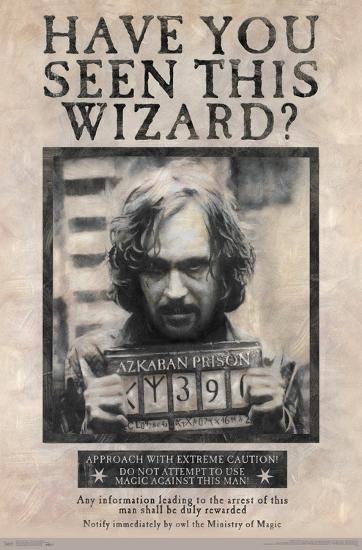 Poster, , large