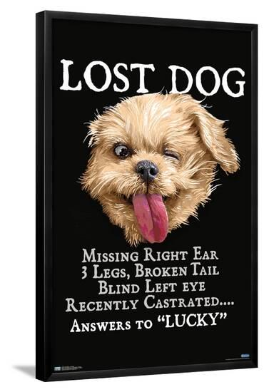 Poster, , large