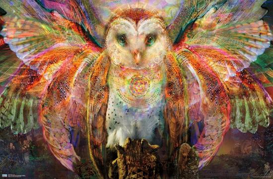Poster, , large