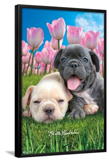 Poster, , large