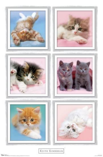 Poster, , large