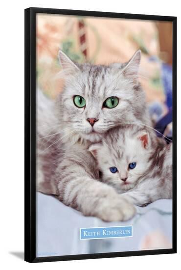 Poster, , large