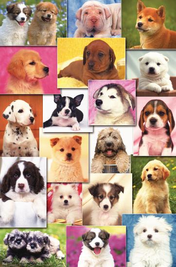 Poster, , large