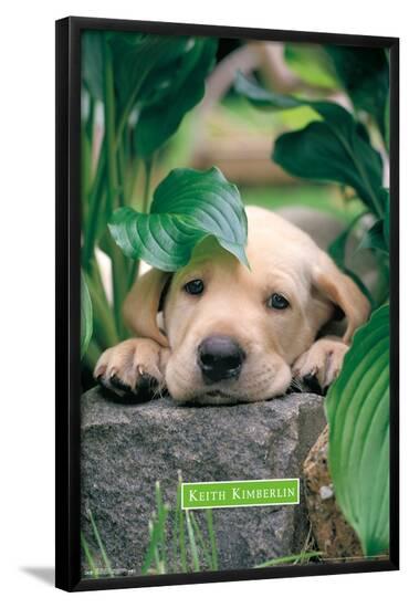 Poster, , large