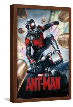 Marvel Cinematic Universe Ant-Man One Sheet Brown Framed Art Print  Wall Art, 13x19
