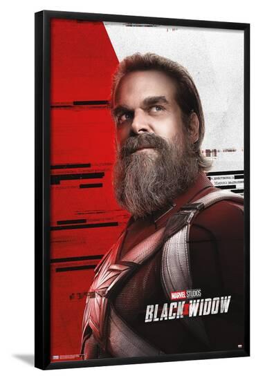 Poster, , large