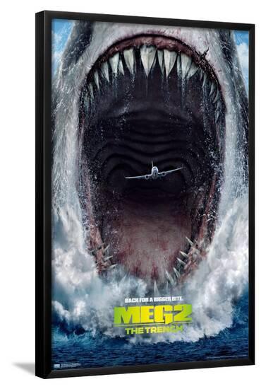 Poster, , large