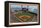 Framed Canvas