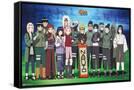 Framed Canvas