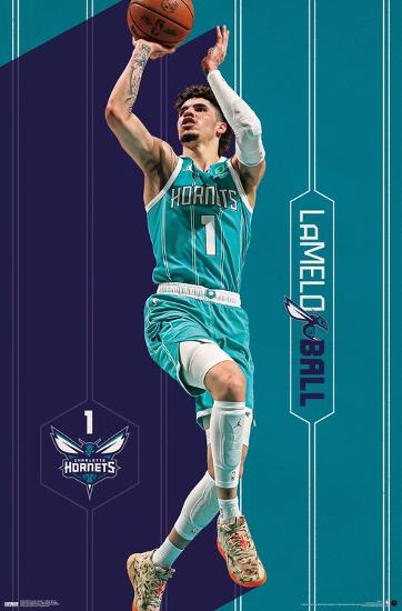 Poster, , large