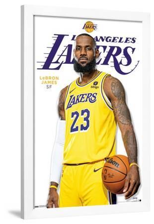 NBA Los Angeles Lakers LeBron James Feature Series 23' Prints