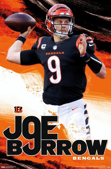 Poster, , large