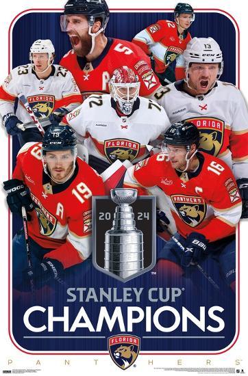 Poster, , large