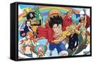 Framed Canvas