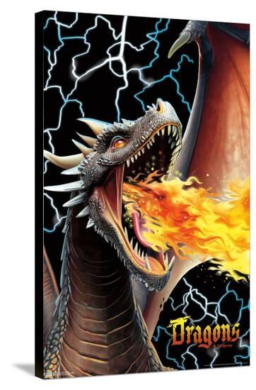 Stretched Canvas Print, , large