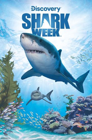 Poster, , large
