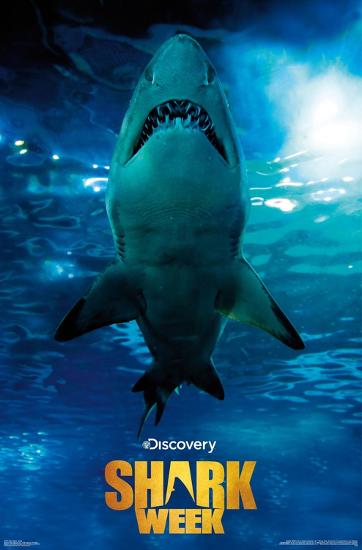 Poster, , large