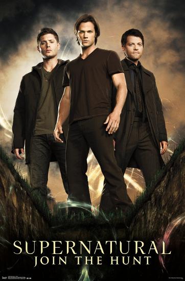Poster, , large